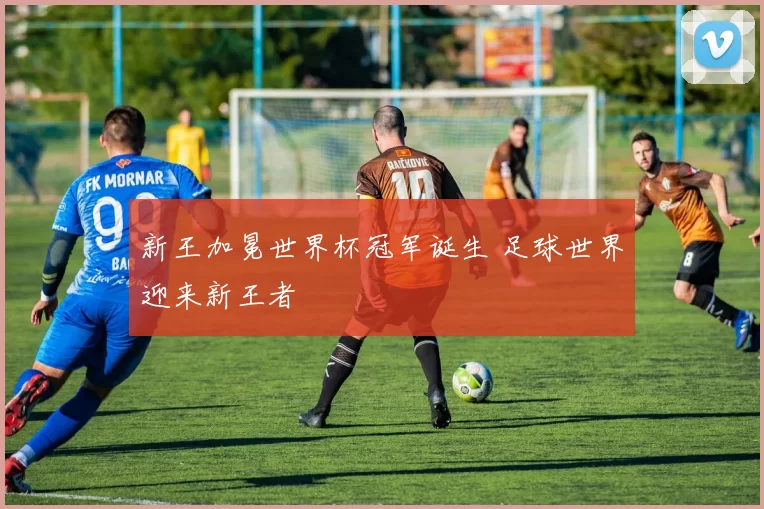新王加冕世界杯冠军诞生 足球世界迎来新王者