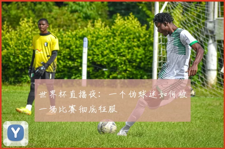 世界杯直播夜：一个伪球迷如何被一场比赛彻底征服