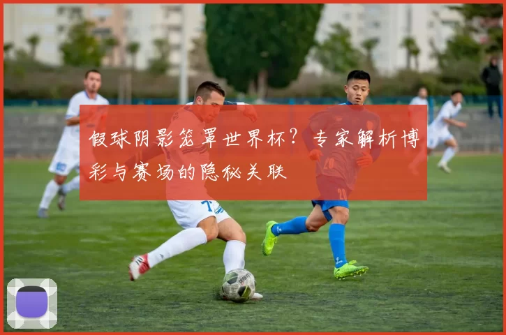 假球阴影笼罩世界杯？专家解析博彩与赛场的隐秘关联