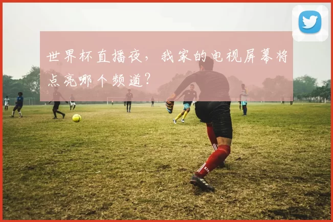 世界杯直播夜，我家的电视屏幕将点亮哪个频道？