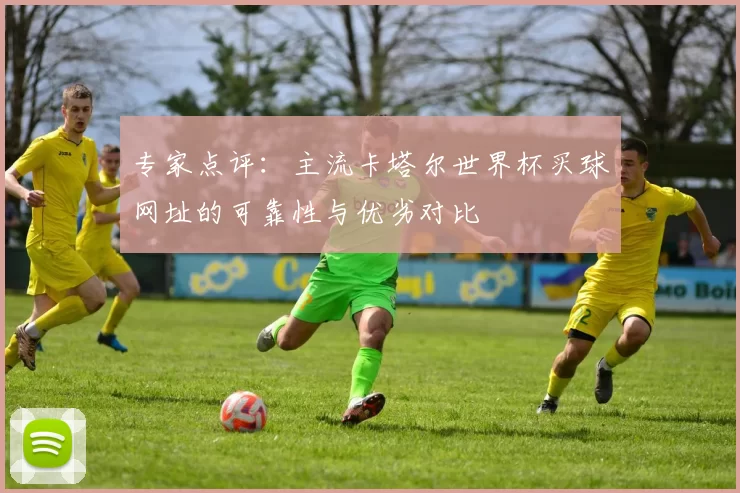 专家点评:主流卡塔尔世界杯买球网址的可靠性与优劣对比