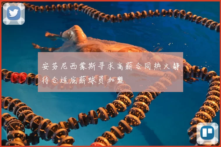 安芬尼西蒙斯寻求高薪合同热火静待合适底薪球员加盟