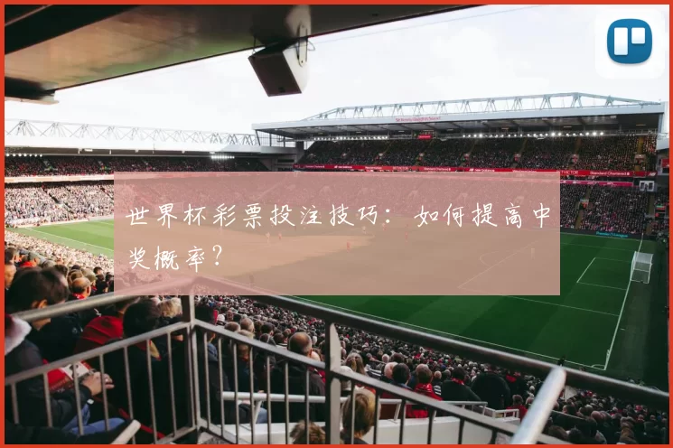世界杯彩票投注技巧:如何提高中奖概率?