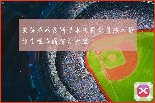 安芬尼西蒙斯寻求高薪合同热火静待合适底薪球员加盟
