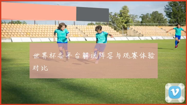 世界杯各平台解说阵容与观赛体验对比