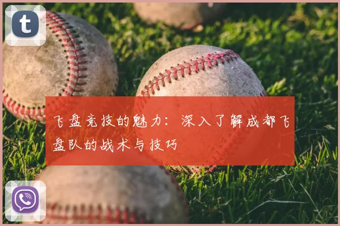 飞盘竞技的魅力：深入了解成都飞盘队的战术与技巧