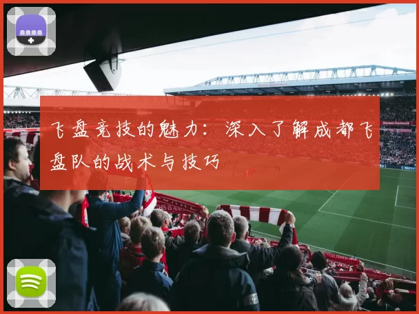 飞盘竞技的魅力：深入了解成都飞盘队的战术与技巧