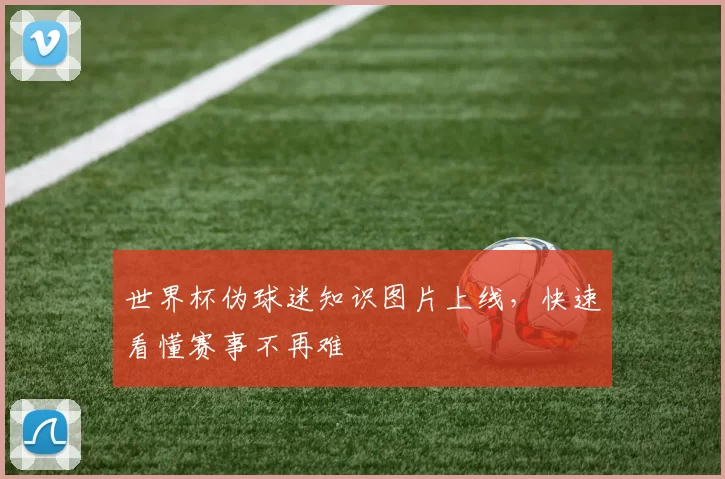世界杯伪球迷知识图片上线，快速看懂赛事不再难
