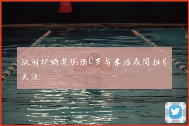 欧洲杯颁奖现场C罗与弗格森同框引关注