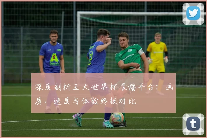 深度剖析五大世界杯录播平台:画质、速度与体验终极对比