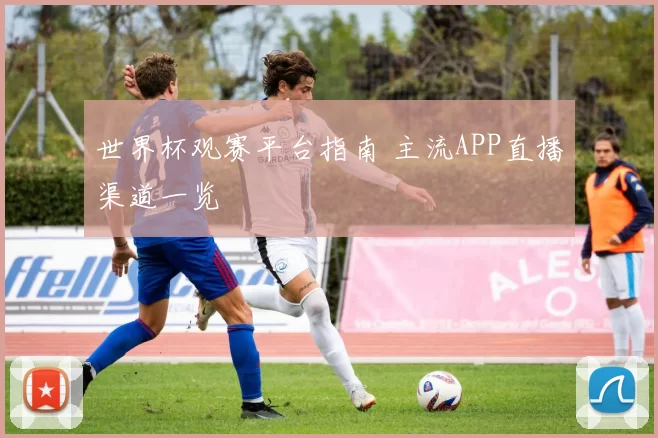 世界杯观赛平台指南 主流APP直播渠道一览