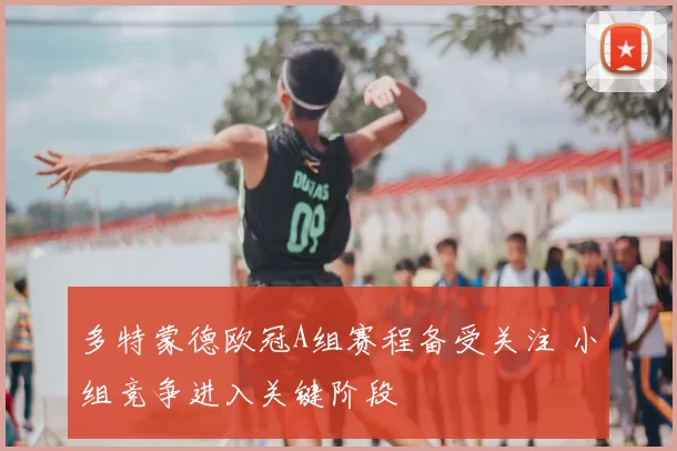 多特蒙德欧冠A组赛程备受关注 小组竞争进入关键阶段