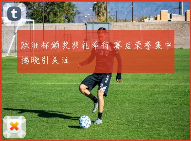 欧洲杯颁奖典礼举行 赛后荣誉集中揭晓引关注